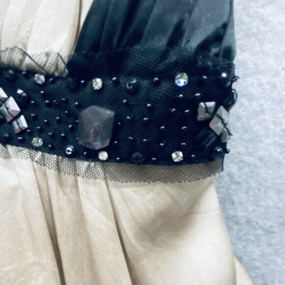 BCBGMAXAZRIA Dress Womens Size 2 Champagne Black Silk Beaded Gown y2k fairycore - Picture 4 of 7